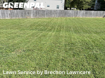 Grass Cut nearby Spring Hill, TN, 