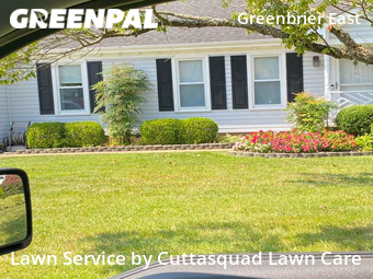 Yard Cutting nearby Chesapeake, VA, 