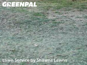 Lawn Care Service nearby Mesquite, TX, 