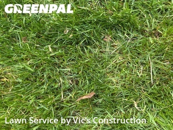 Grass Cutting nearby Plainfield, IL, 