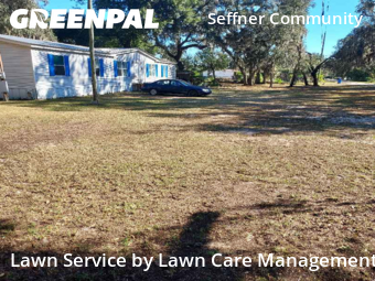 Lawn Cut nearby Seffner, FL, 