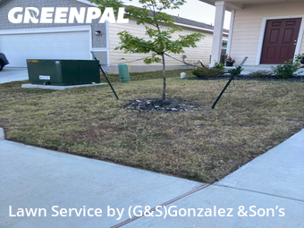 Lawn Mowing Service nearby Converse, TX, 