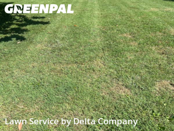 Grass Cutting nearby Bowling Green, KY, 