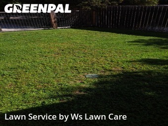 Lawn Cutin New Braunfels,78130,Lawn Care Service by Ws Lawn Care, work completed in Jun , 2026