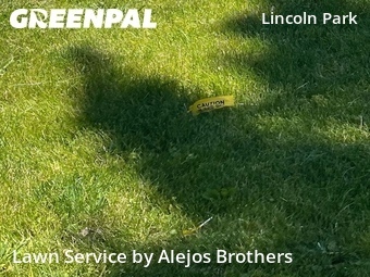Grass Cutting nearby Chicago, IL, 