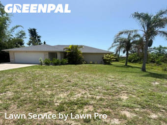 Work completed by grass-cutting-businesses-in-Venice-CA