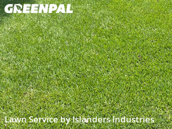 Lawn Care nearby Baton Rouge, LA, 