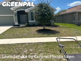 Grass Cut nearby Winter Haven, FL, 