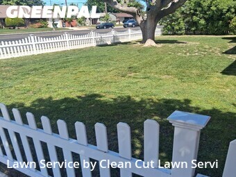 Grass Cut nearby Fresno, CA, 