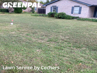 Lawn Mow nearby Pflugerville, TX, 