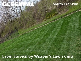 Lawn Cutting nearby Indianapolis, IN, 
