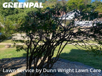 Lawn Cut nearby St. Louis, MO, 
