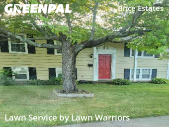 Grass Cut nearby Reynoldsburg, OH, 