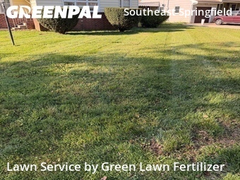 Grass Cut nearby Springfield, MO, 