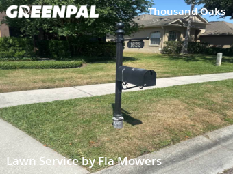 Lawn Mow nearby Trinity, FL, 