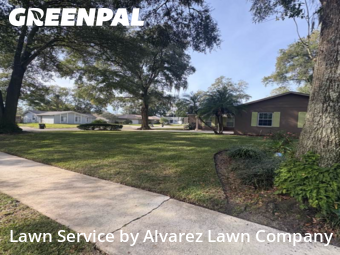 Lawn Care Servicein Altamonte Springs,32714,Grass Cut by Alvarez Lawn Company, work completed in Jan , 2026