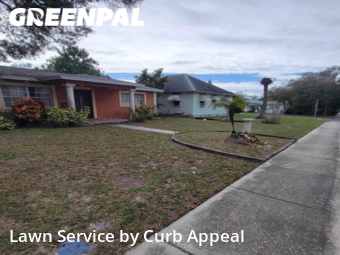 Grass Cut nearby St. Petersburg, FL, 