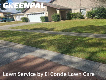 Grass Cut nearby Orlando, FL, 