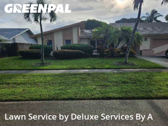 Lawn Care Servicein Sunrise,33351,Lawn Cutting by Deluxe Services By A, work completed in Dec , 2025