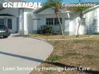 Lawn mowed in Cape Coral, 33904