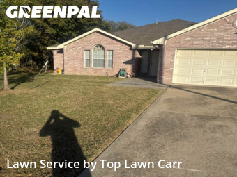 Lawn Mow nearby Grand Prairie, TX, 
