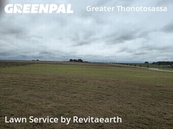 Lawn Mow nearby Thonotosassa, FL, 