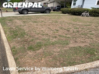 Lawn Cut nearby Tuscaloosa, AL, 