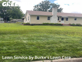 Lawn Service nearby Minneapolis, MN, 