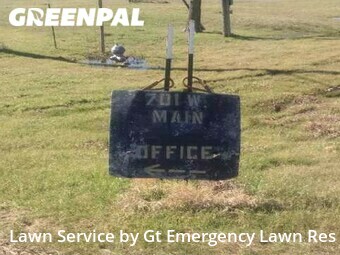 Grass Cutting nearby Gunter, TX, 