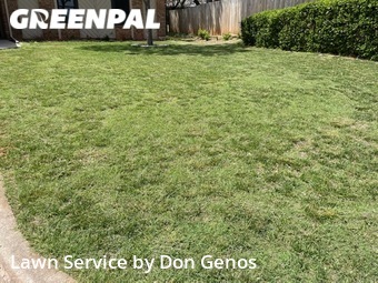 Lawn Mow nearby Norman, OK, 