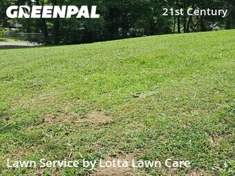 Yard Cutting nearby Chattanooga, TN, 