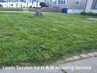 Lawn Mowing nearby Saint Ann, MO, 