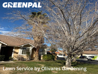 Work completed by residential-lawn-cutting-businesses-in-Palmdale-CA