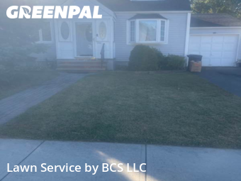 Weed Trimming in Union, 7083, Yard Care Services by BCS LLC, work completed in Nov , 2025