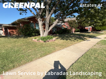 Lawn Mowing Service nearby Plano, TX, 