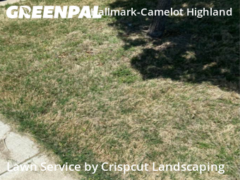 Lawn Cutting nearby Fort Worth, TX, 