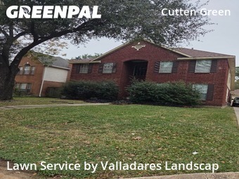 Lawn Servicein Houston,77066,Yard Cutting by Valladares Landscap, work completed in Dec , 2025