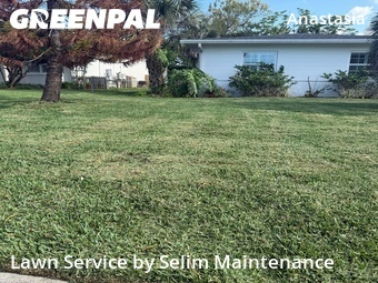 Lawn Care nearby St. Augustine, FL, 