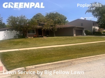 Grass Cut nearby Hoffman Estates, IL, 