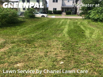 Yard Mowing nearby New Albany, OH, 