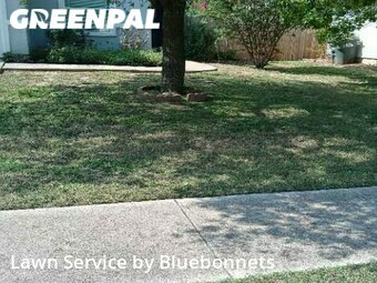Yard Mowing nearby Leander, TX, 