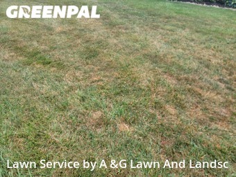 Lawn Cutting nearby Hamilton, OH, 