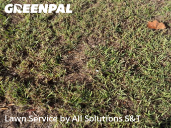 Lawn Maintenance nearby Poinciana, FL, 