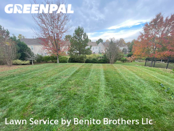 Lawn Care nearby Cary, NC, 