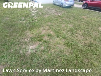 Lawn mowed in Lady Lake, 32159