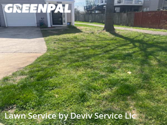 Lawn Cut nearby Forestville, MD, 