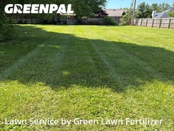 Lawn Mowing Service nearby Springfield, MO, 