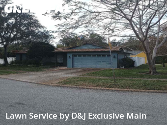 Lawn Cut nearby Orlando, FL, 