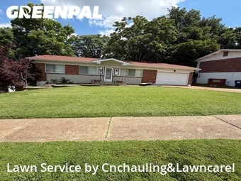 Grass Cutting nearby St. Louis, MO, 