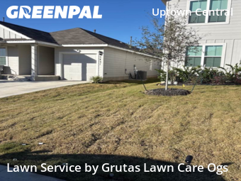 Lawn Servicein San Antonio,78253,Yard Mowing by Grutas Lawn Care Ogs, work completed in Jan , 2026